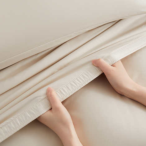 Signature 680 Thread Count Sheet Set - Twin - Beige