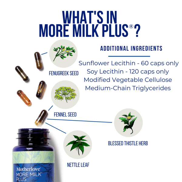 More Milk Plus