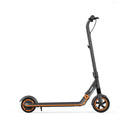 Segway Ninebot EKick Scooter ZING E12 Electric Scooter