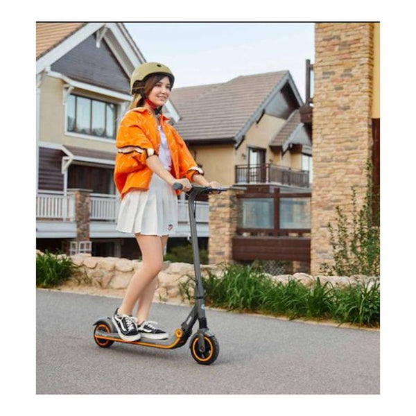 Segway Ninebot EKick Scooter ZING E12 Electric Scooter