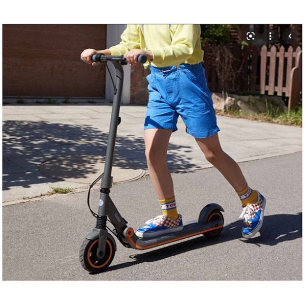 Segway Ninebot EKick Scooter ZING E12 Electric Scooter