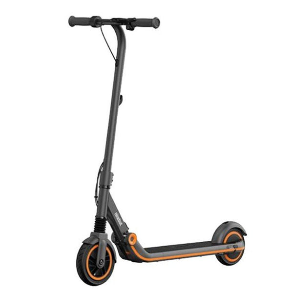 Segway Ninebot EKick Scooter ZING E12 Electric Scooter